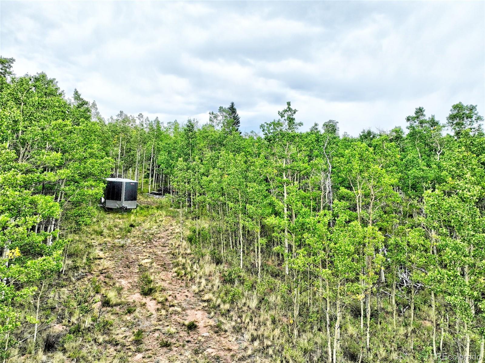 528 Glacier Peak View Road Jefferson, CO 80456 - Photo 11 of 44 a backyard of a house with lots of green space