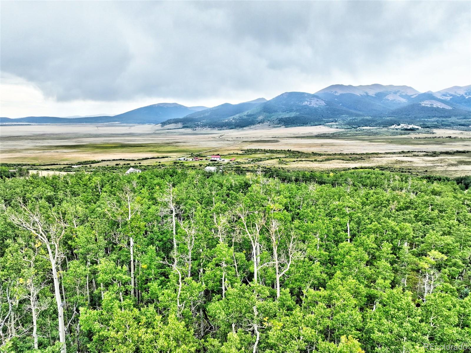 528 Glacier Peak View Road Jefferson, CO 80456 - Photo 19 of 44 a view of a lush green field with a mountain in the background