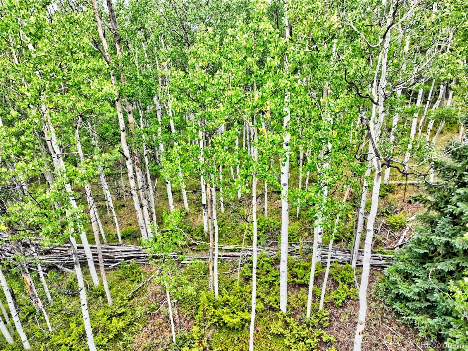 528 Glacier Peak View Road Jefferson, CO 80456 - Photo 23 of 44 a view of a backyard
