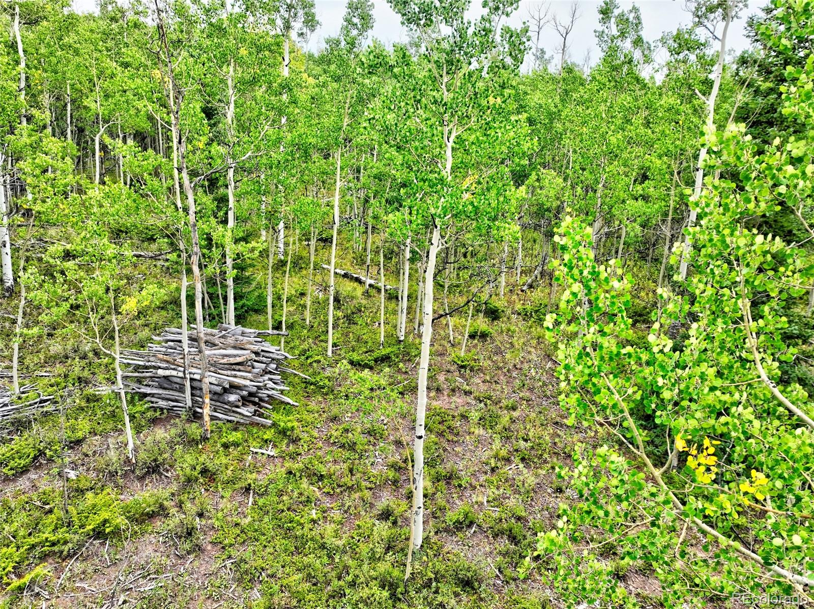 528 Glacier Peak View Road Jefferson, CO 80456 - Photo 25 of 44 a view of a bench in a garden