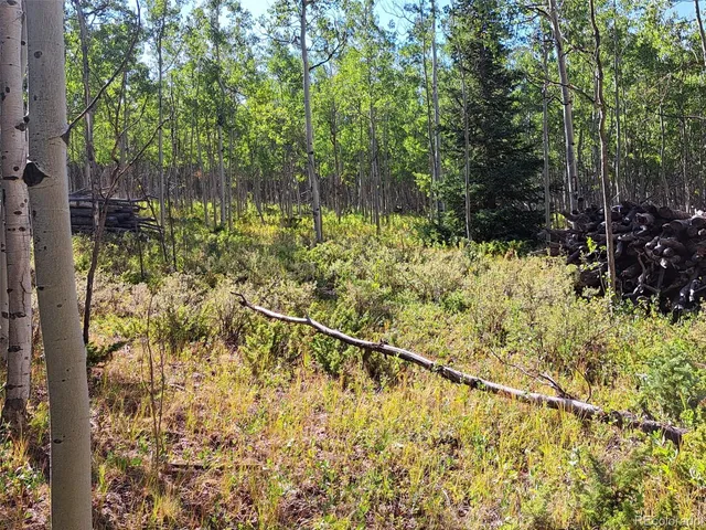 a view of a backyard of the house