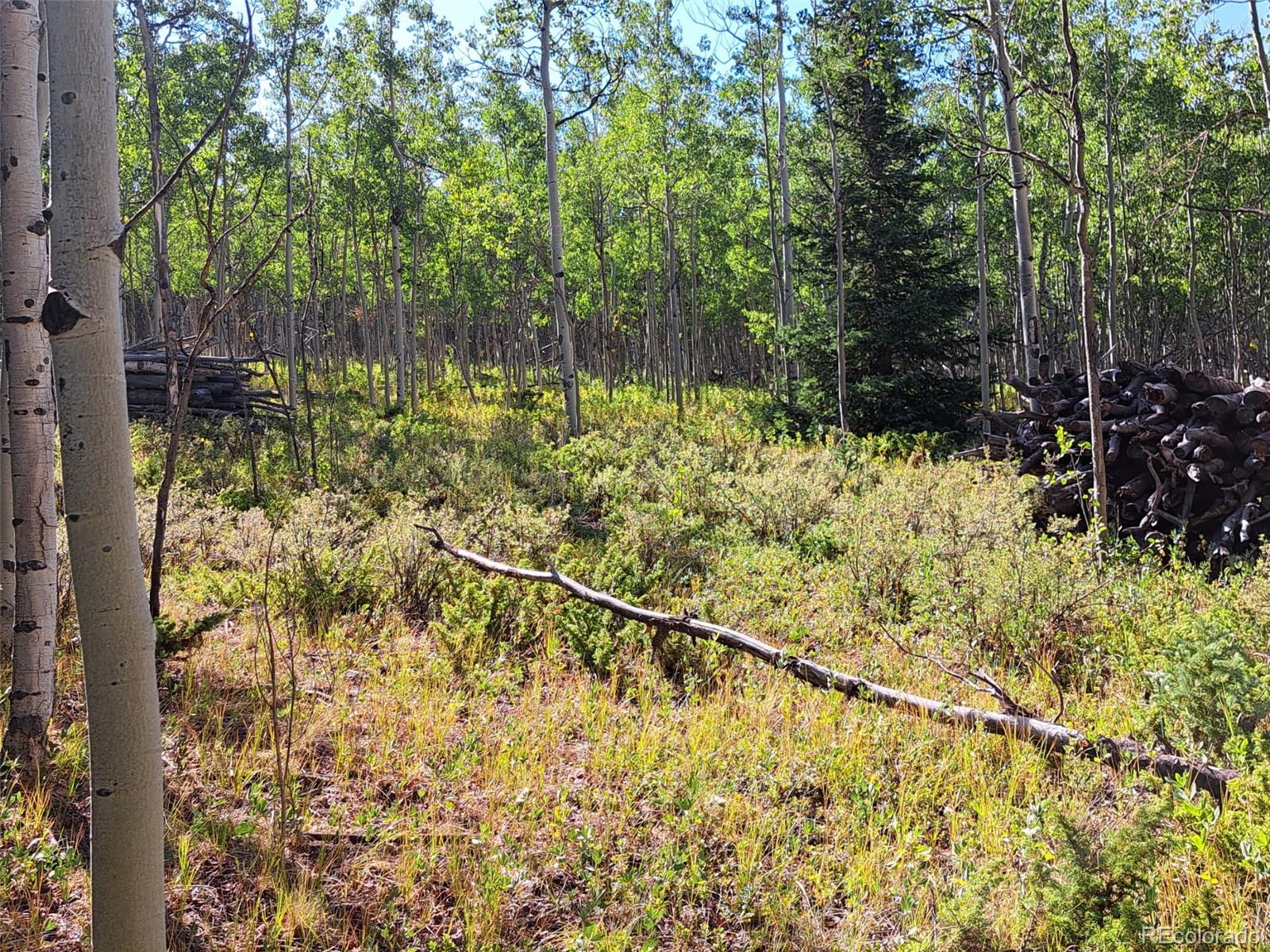 528 Glacier Peak View Road Jefferson, CO 80456 - Photo 26 of 44 a view of a backyard of the house