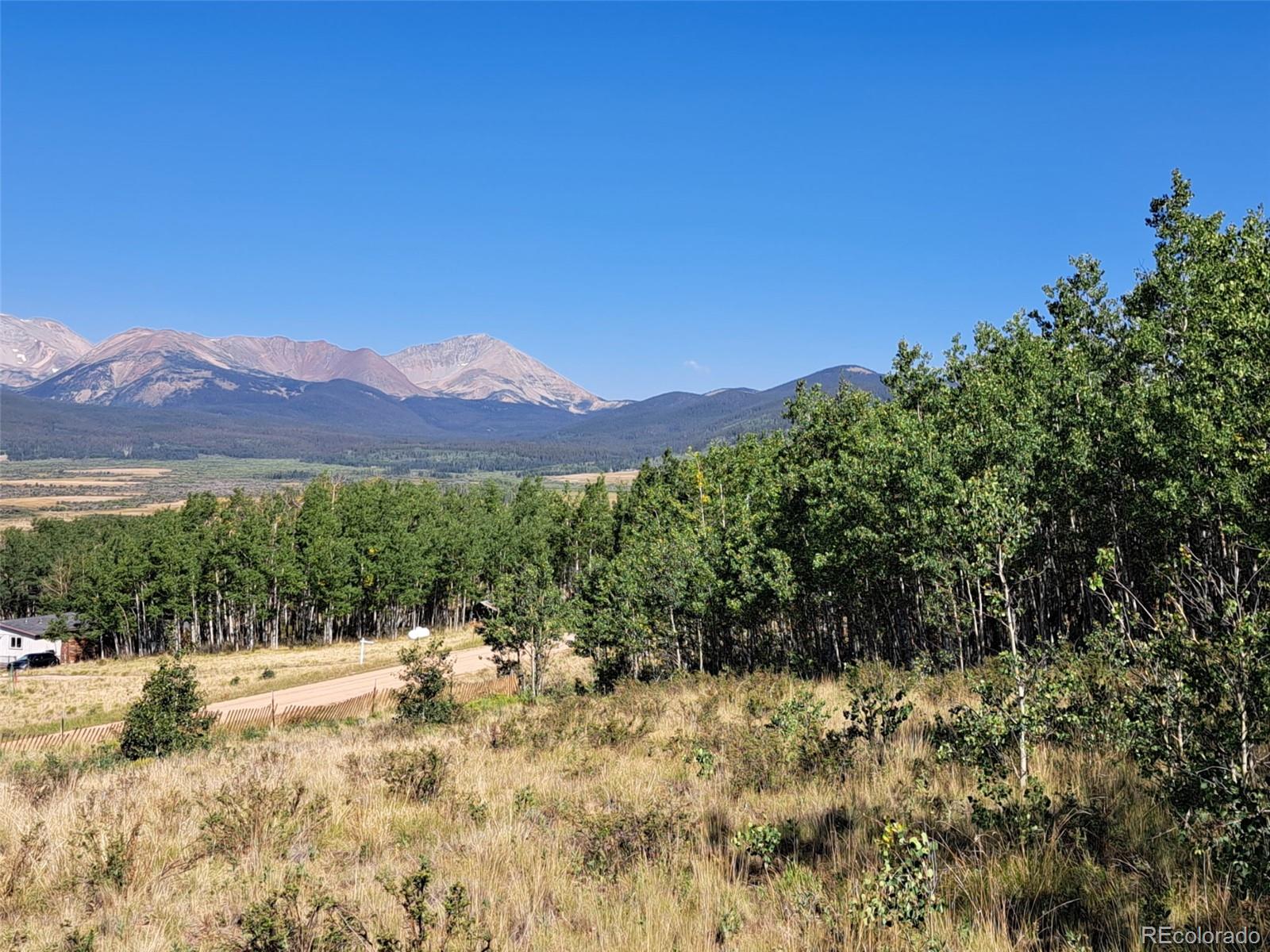 528 Glacier Peak View Road Jefferson, CO 80456 - Photo 28 of 44 a view of a yard with a tree