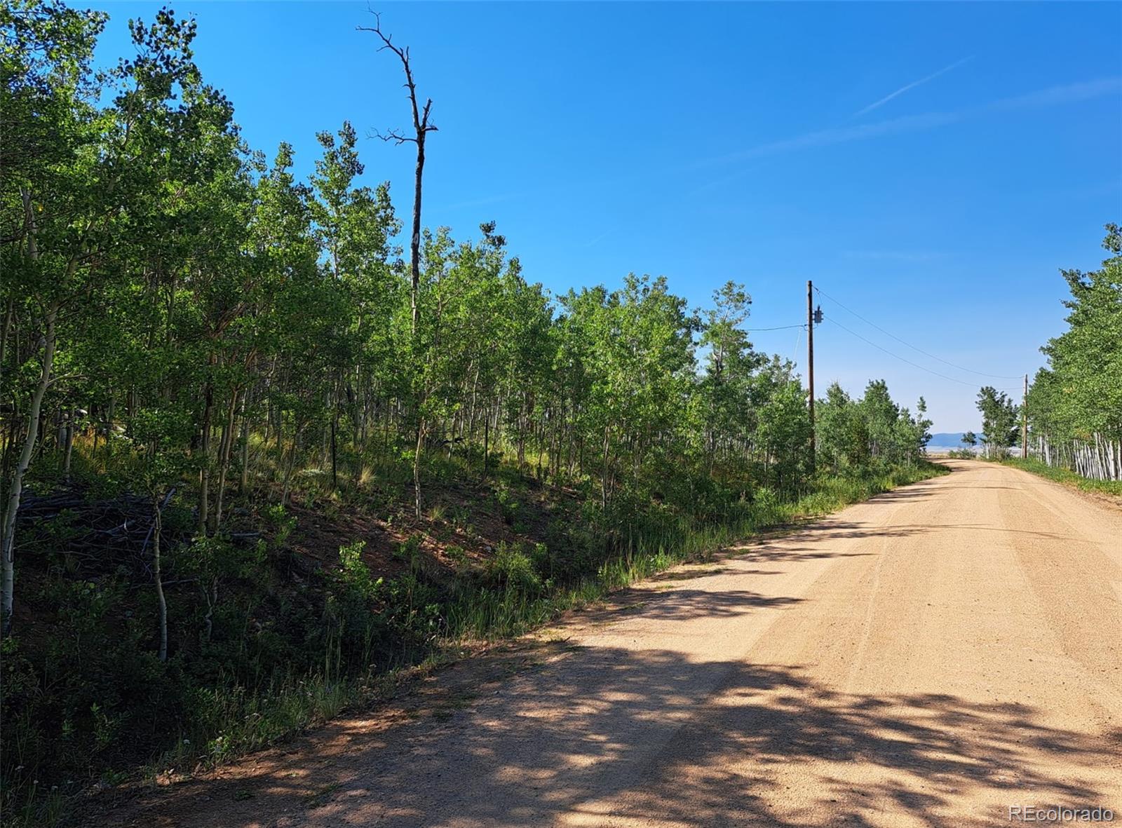 528 Glacier Peak View Road Jefferson, CO 80456 - Photo 29 of 44 a view of a road with a yard