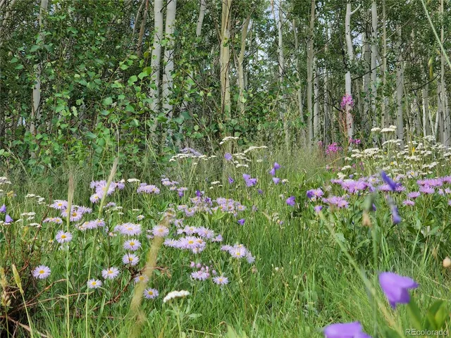 a backyard of a house with lots of green space and a fountain