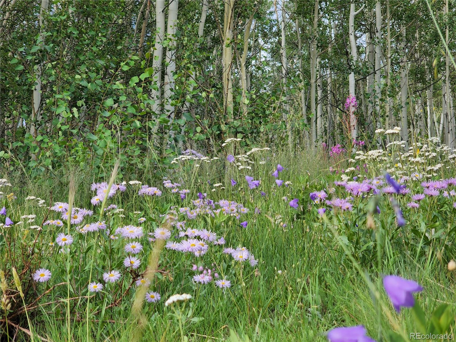 528 Glacier Peak View Road Jefferson, CO 80456 - Photo 3 of 44 a backyard of a house with lots of green space and a fountain