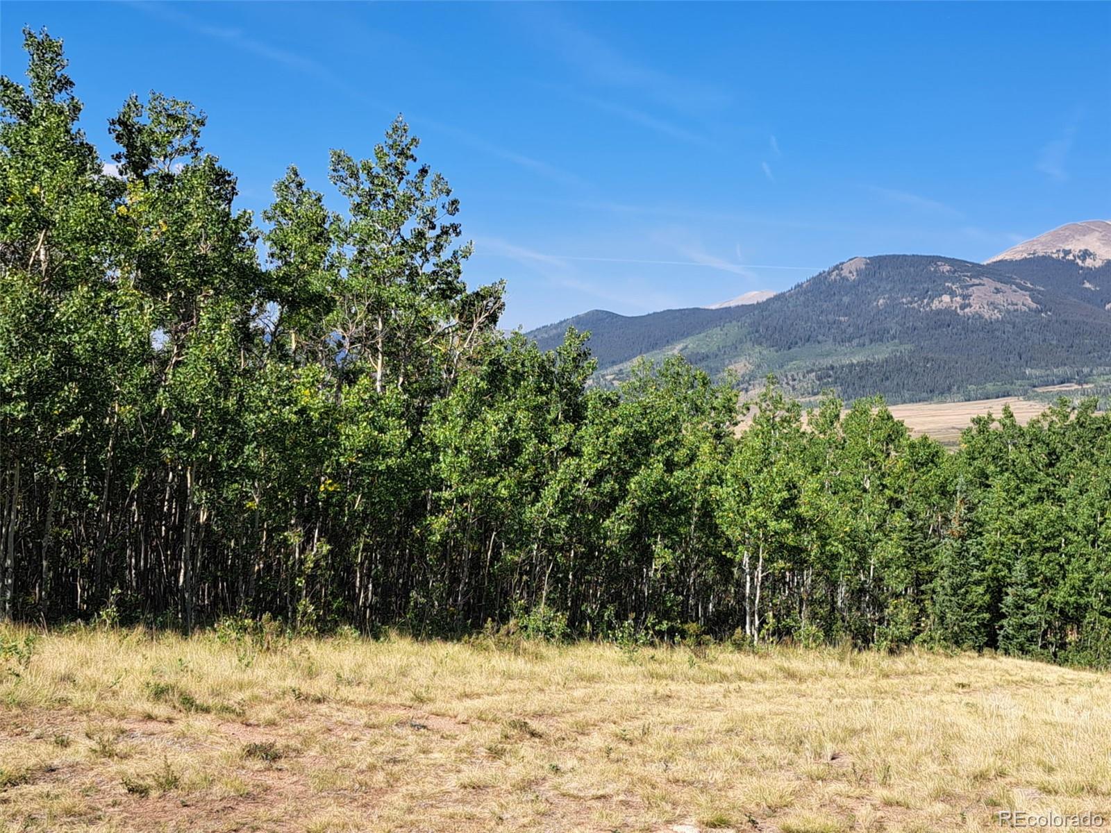 528 Glacier Peak View Road Jefferson, CO 80456 - Photo 31 of 44 a view of a yard