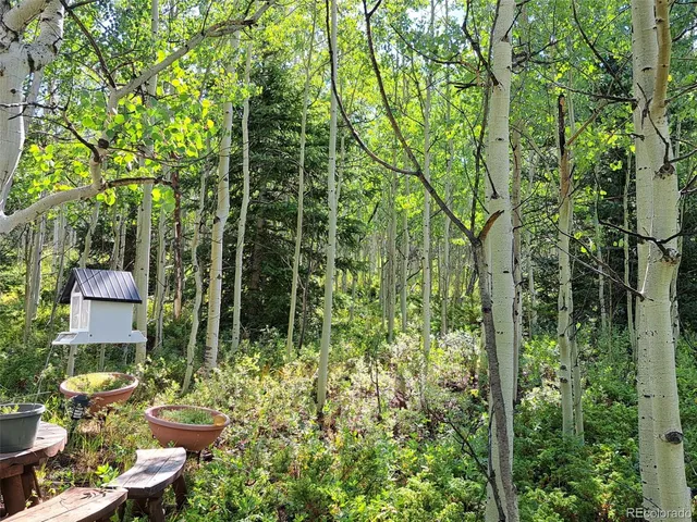 a view of a garden with plants