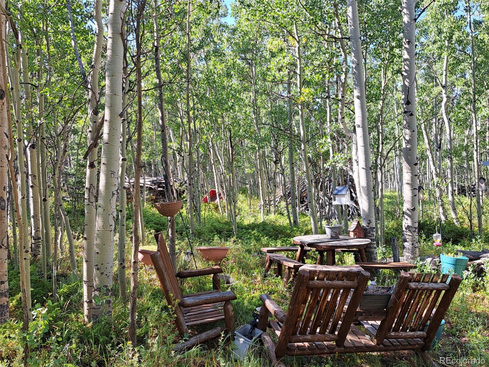 528 Glacier Peak View Road Jefferson, CO 80456 - Photo 35 of 44 a view of a patio with table and chairs and potted plants