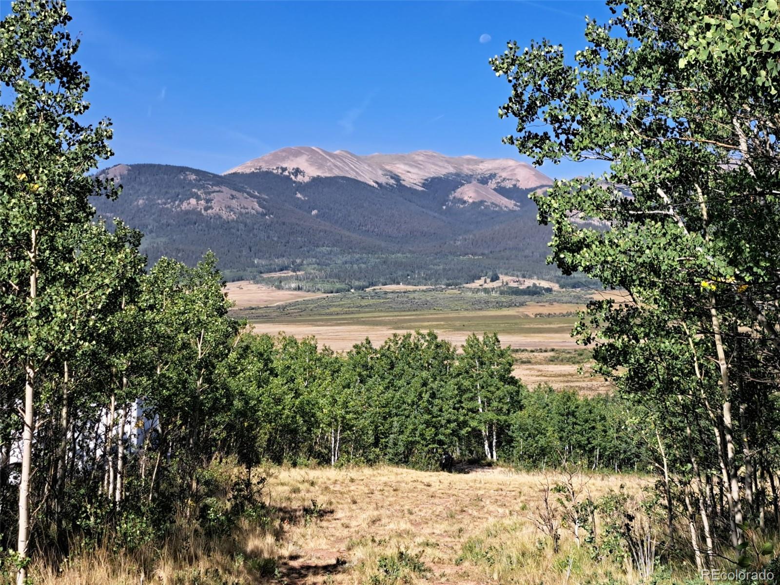528 Glacier Peak View Road Jefferson, CO 80456 - Photo 36 of 44 a view of a yard with a tree