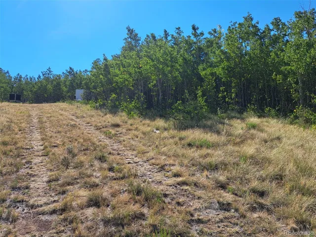 a view of a yard with a tree