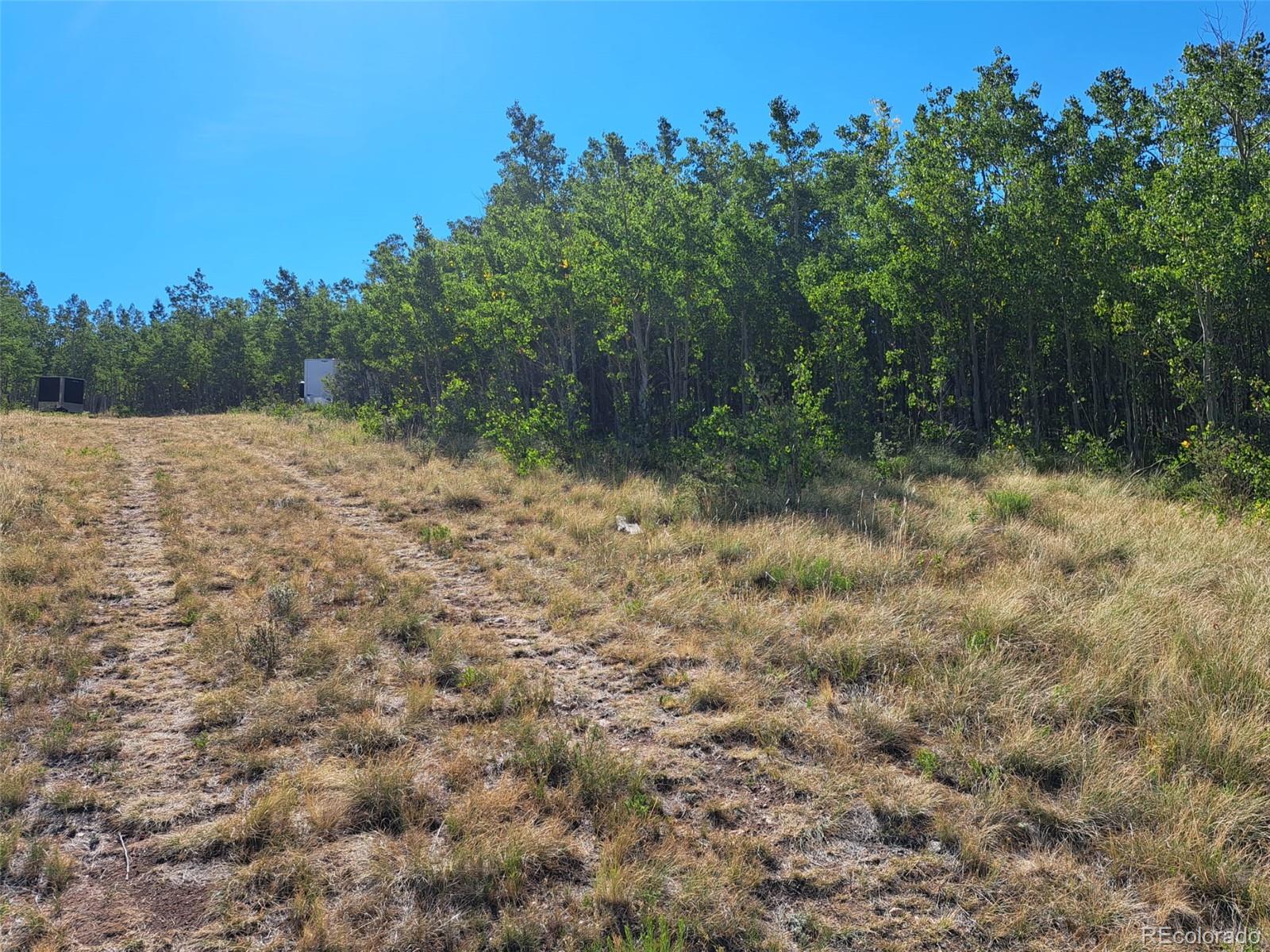 528 Glacier Peak View Road Jefferson, CO 80456 - Photo 40 of 44 a view of a yard with a tree
