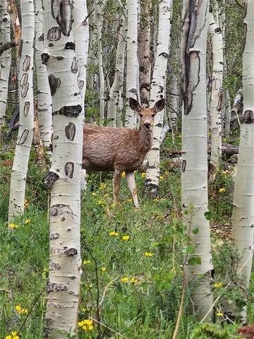 a view of a bird bath tub