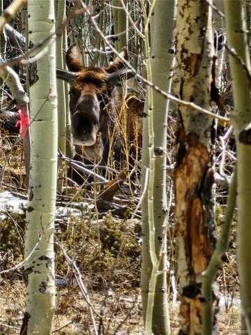 a close up of a door