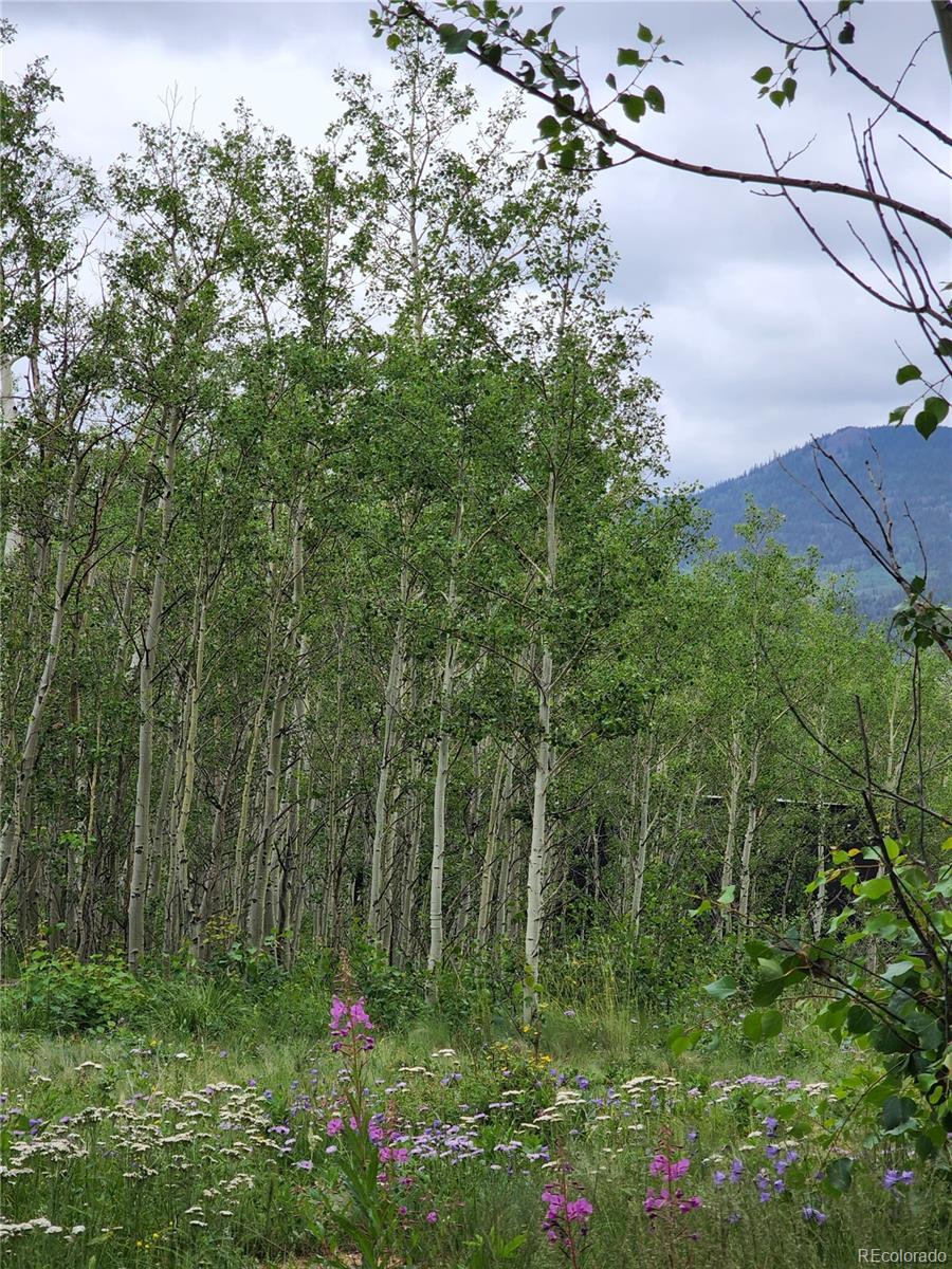 528 Glacier Peak View Road Jefferson, CO 80456 - Photo 6 of 44 a view of yard with green space