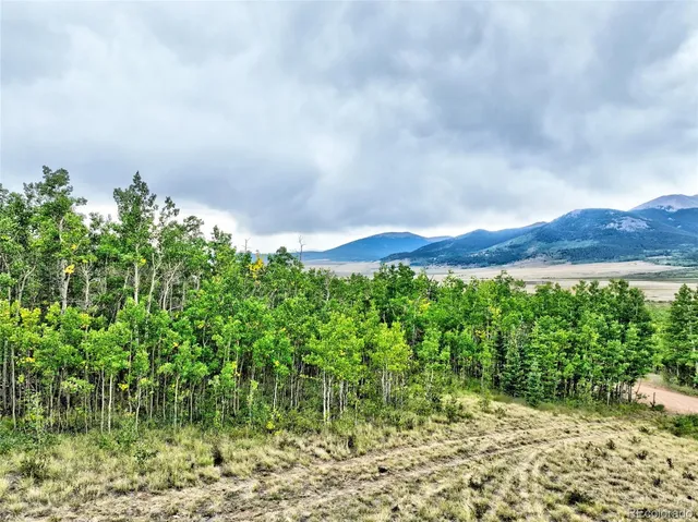 a view of a back yard