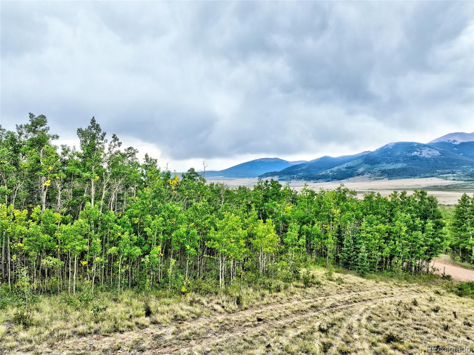 528 Glacier Peak View Road Jefferson, CO 80456 - Photo 8 of 44 a view of a back yard