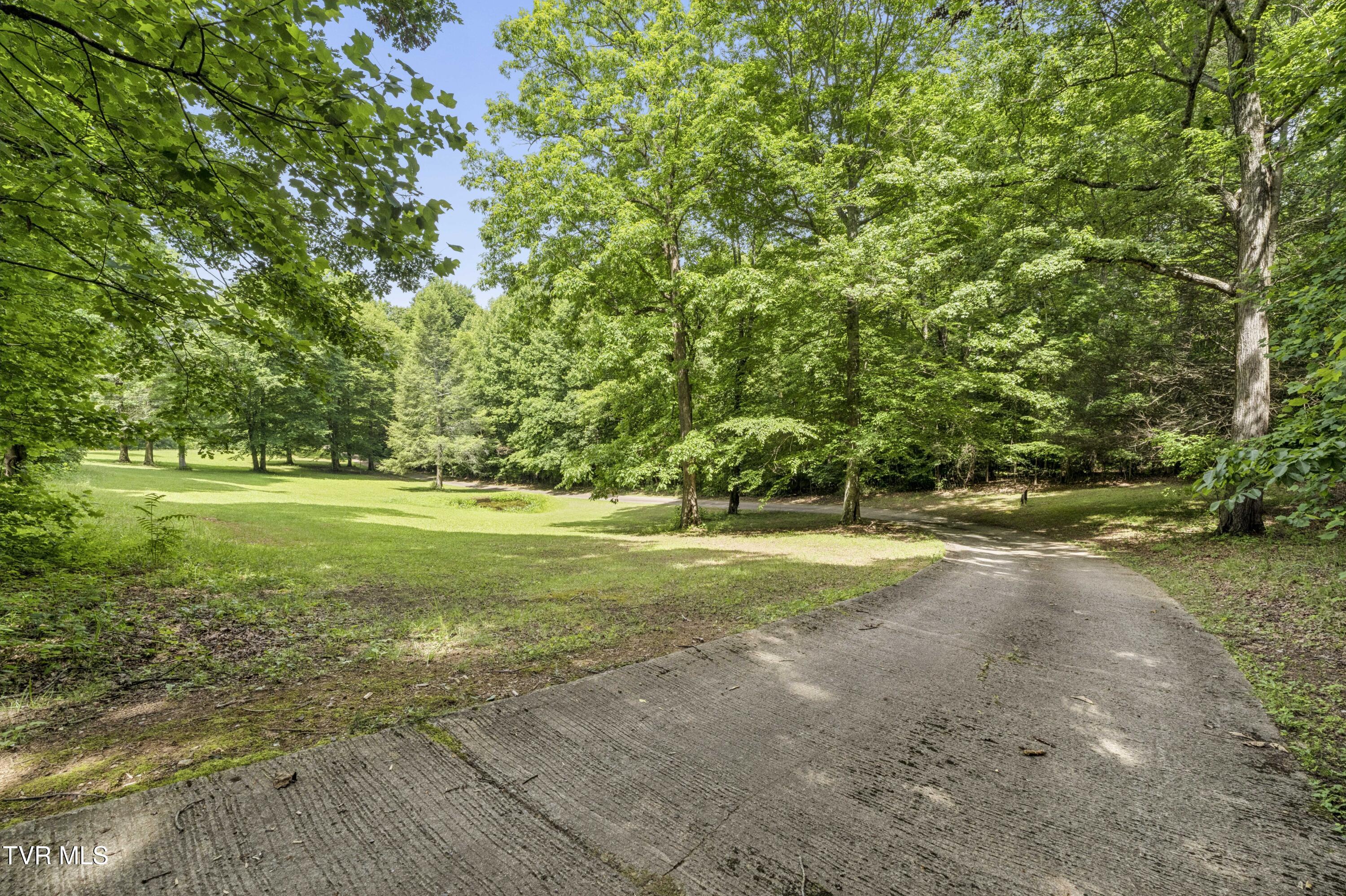 1820 Frank Roberts Road Afton, TN 37616 - Photo 72 of 73 Frank2-36