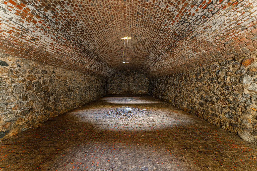 2915 West Chicago Road Niles, MI 49120 - Photo 3 of 17 cellar