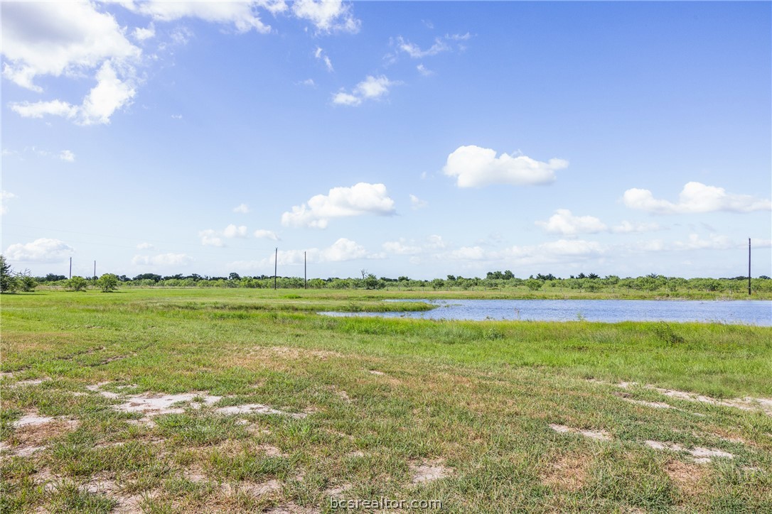 6951 Watermelon Road Somerville, TX 77879 - Photo 26 of 48 Back yard view of the pond.
