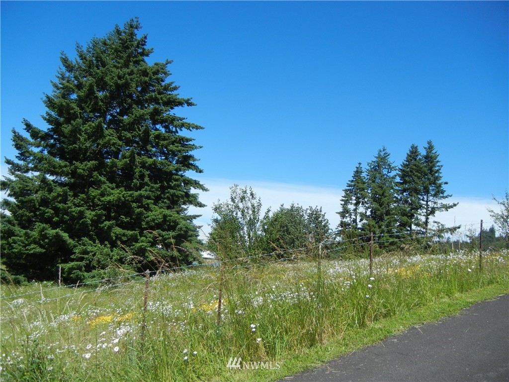 401 Large Road Kalama, WA 98625 - Photo 8 of 11 Gallery Image 8
