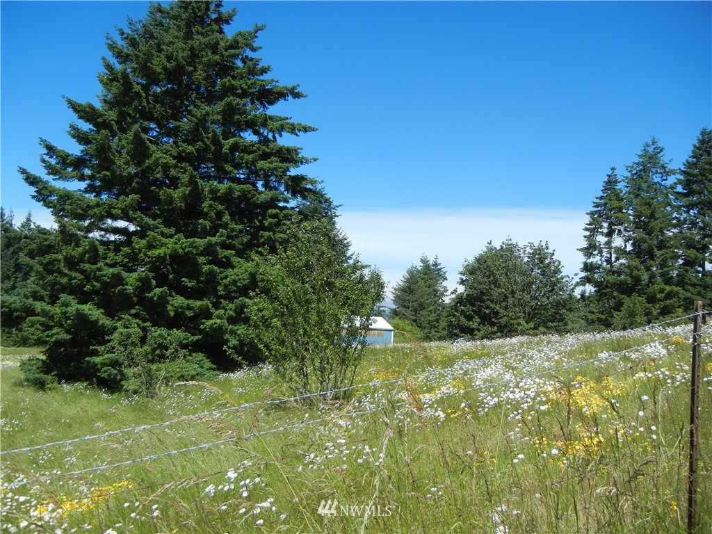 401 Large Road Kalama, WA 98625 - Photo 10 of 11 Gallery Image 10