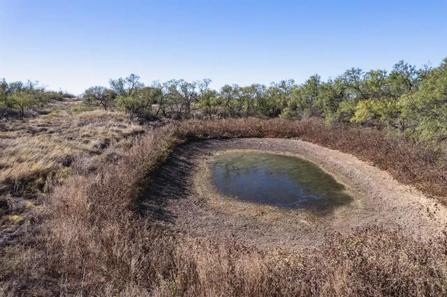 a view of a dry yard with trees in the background