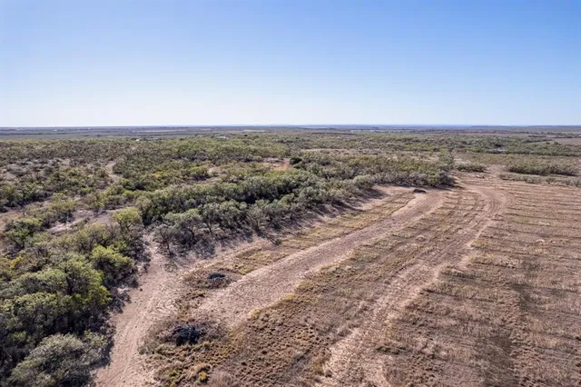 a view of a dry yard with trees