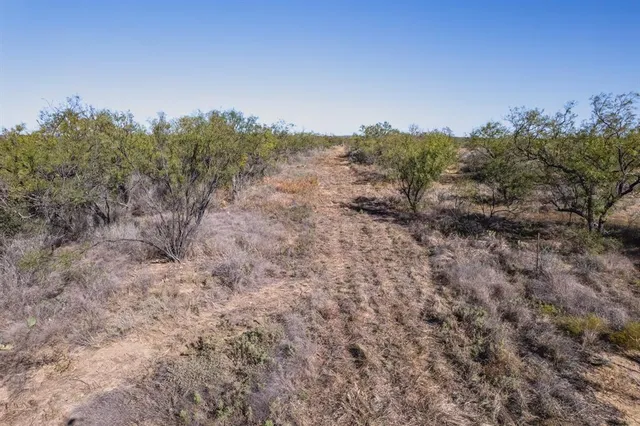 a view of beach and ocean