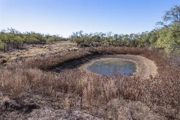 a view of a dry yard with trees