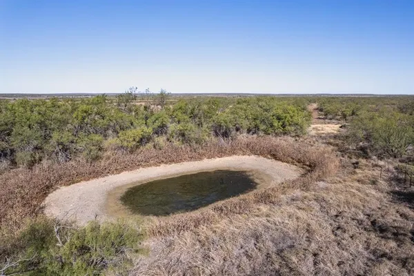 a view of a dry yard with green space
