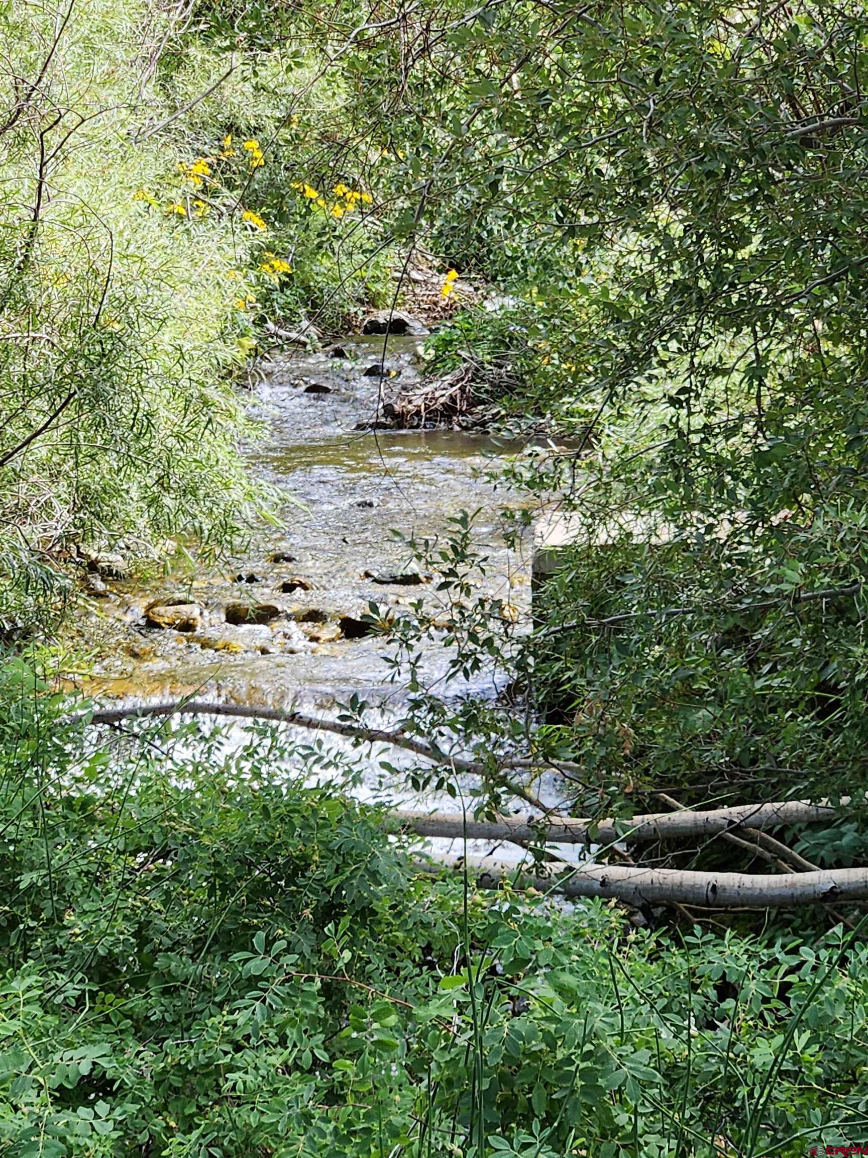 129 Indian Hill Road Mosca, CO 81146 - Photo 20 of 24 This creek runs through the property, There are benches alongside it to sit and relax right in your