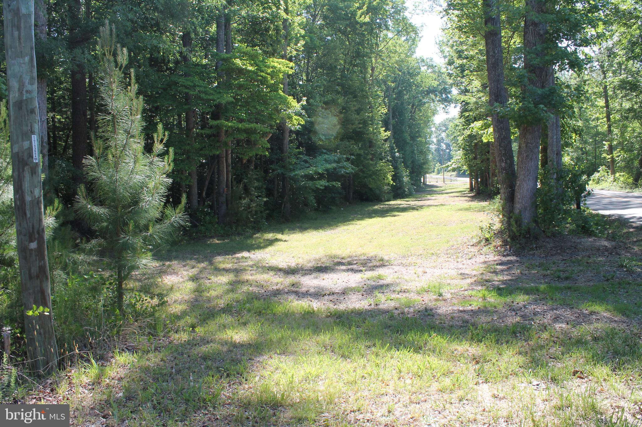 6031 Hickory Ridge Road Spotsylvania, VA 22551 - Photo 25 of 28 road frontage of the 27 acres