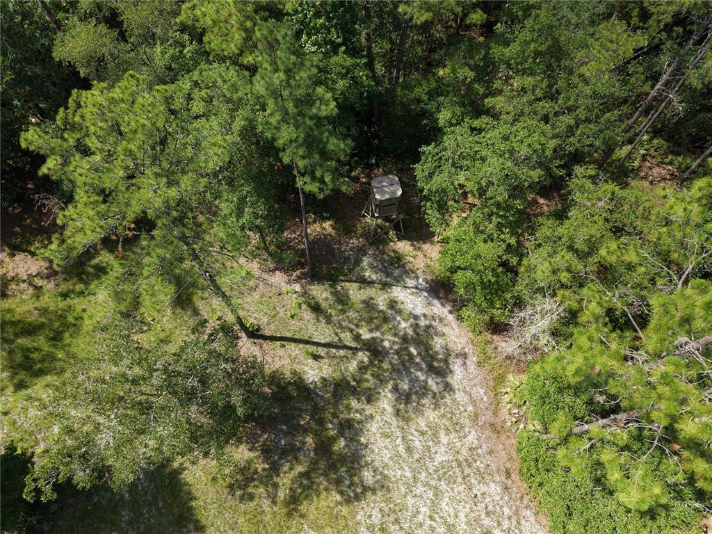 375 Buck Springs Road Palatka, FL 32177 - Photo 70 of 78 Gallery Image 70
