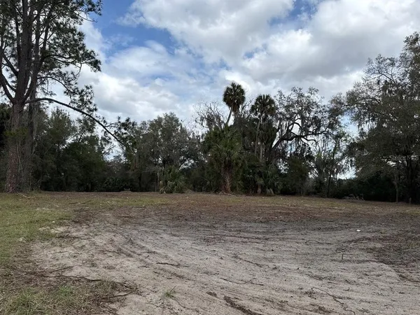 a view of a field with trees in the background