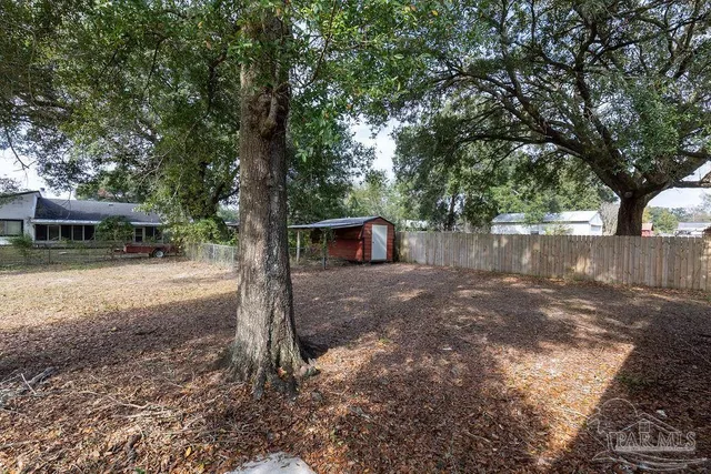 a view of a tree in the middle of a yard