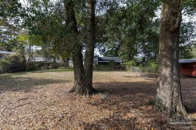a view of backyard with tree