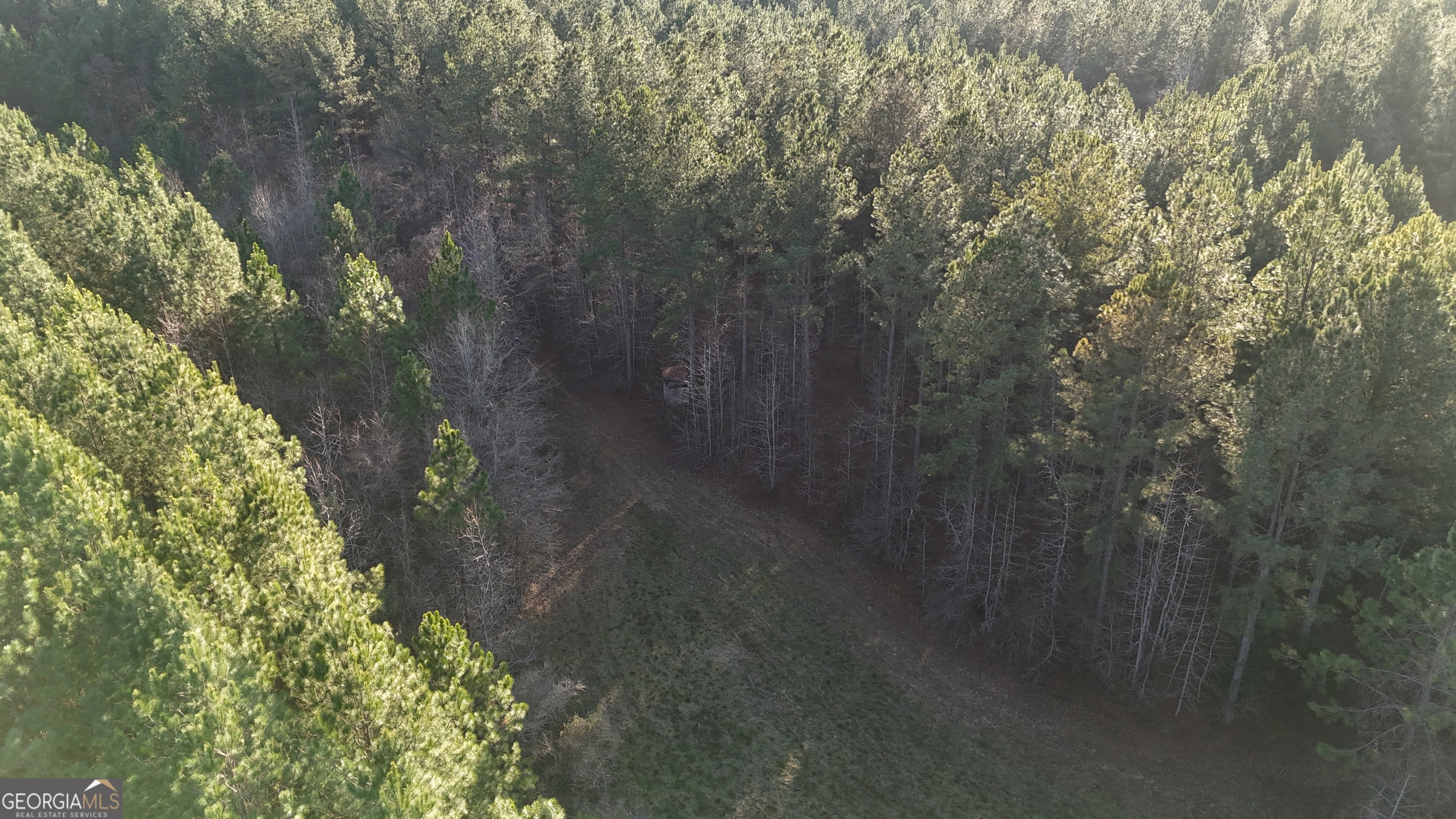 198 Culverton Church Road Sparta, GA 31087 - Photo 11 of 94