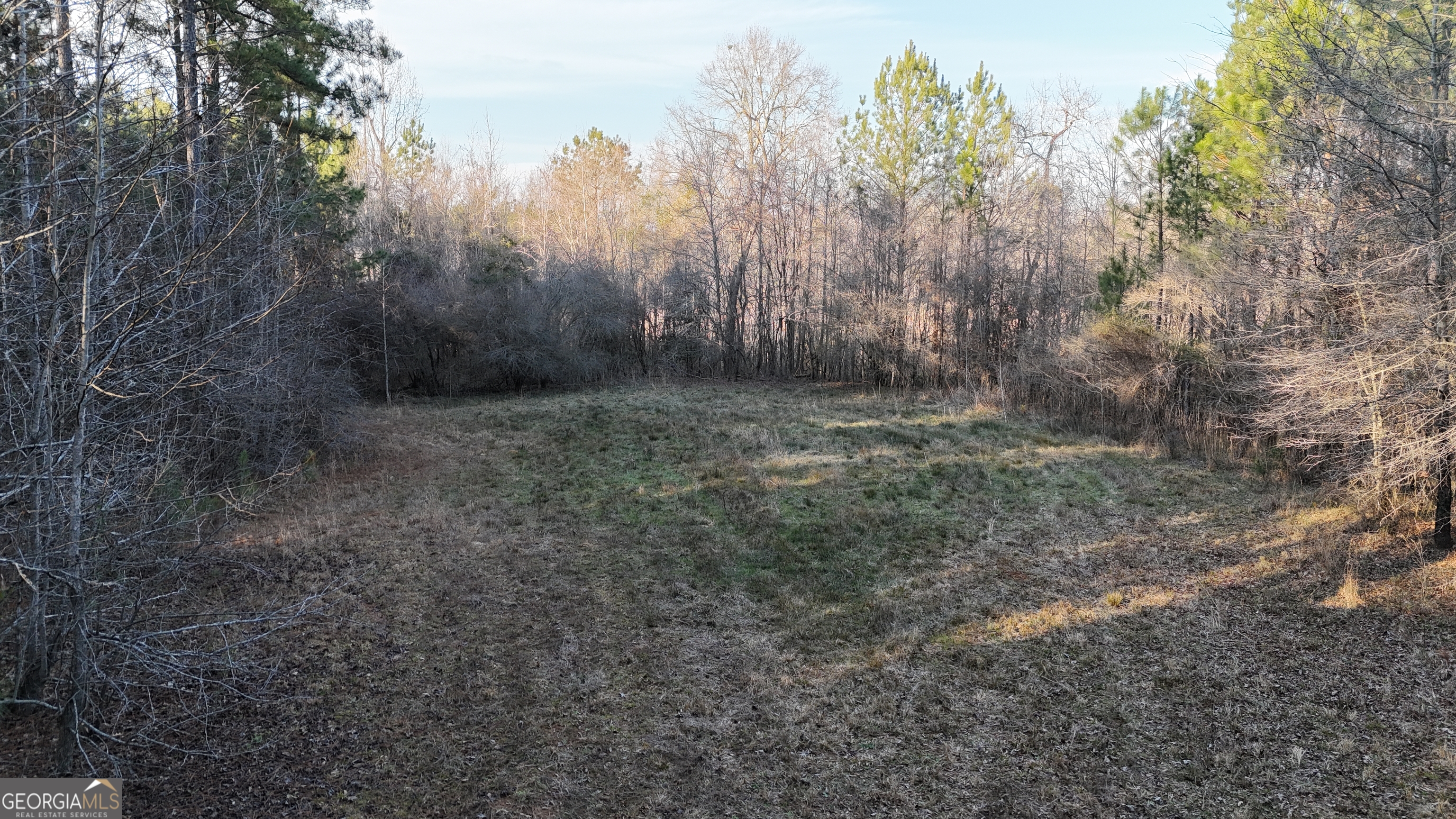 198 Culverton Church Road Sparta, GA 31087 - Photo 12 of 94 a view of a forest with trees in the background
