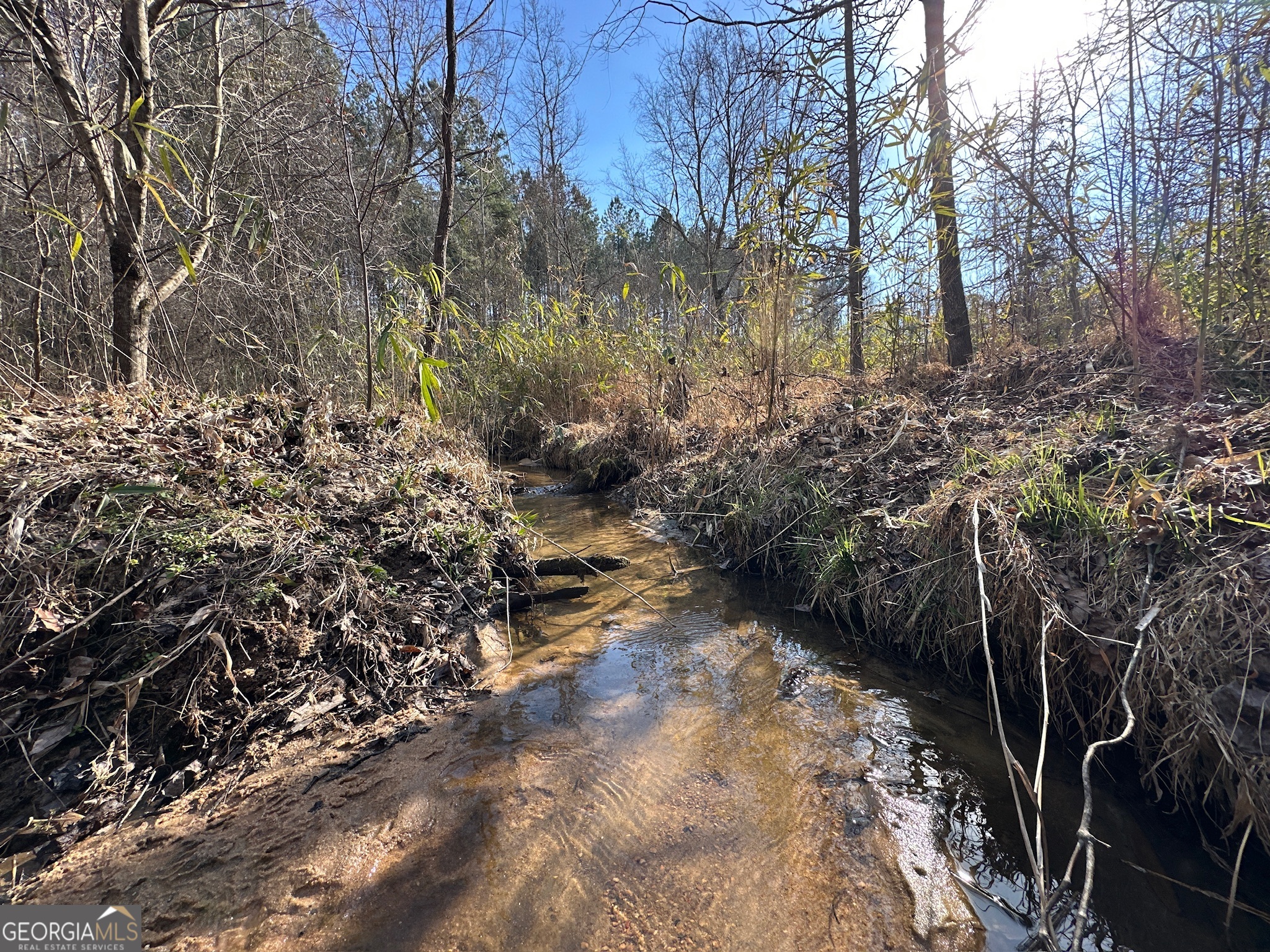 198 Culverton Church Road Sparta, GA 31087 - Photo 13 of 94 a view of a yard with plants and trees