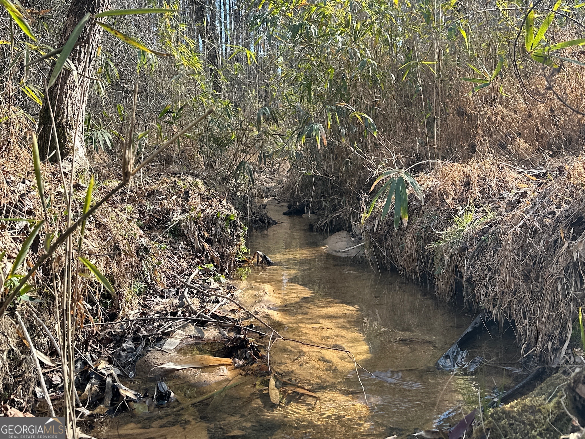 198 Culverton Church Road Sparta, GA 31087 - Photo 14 of 94