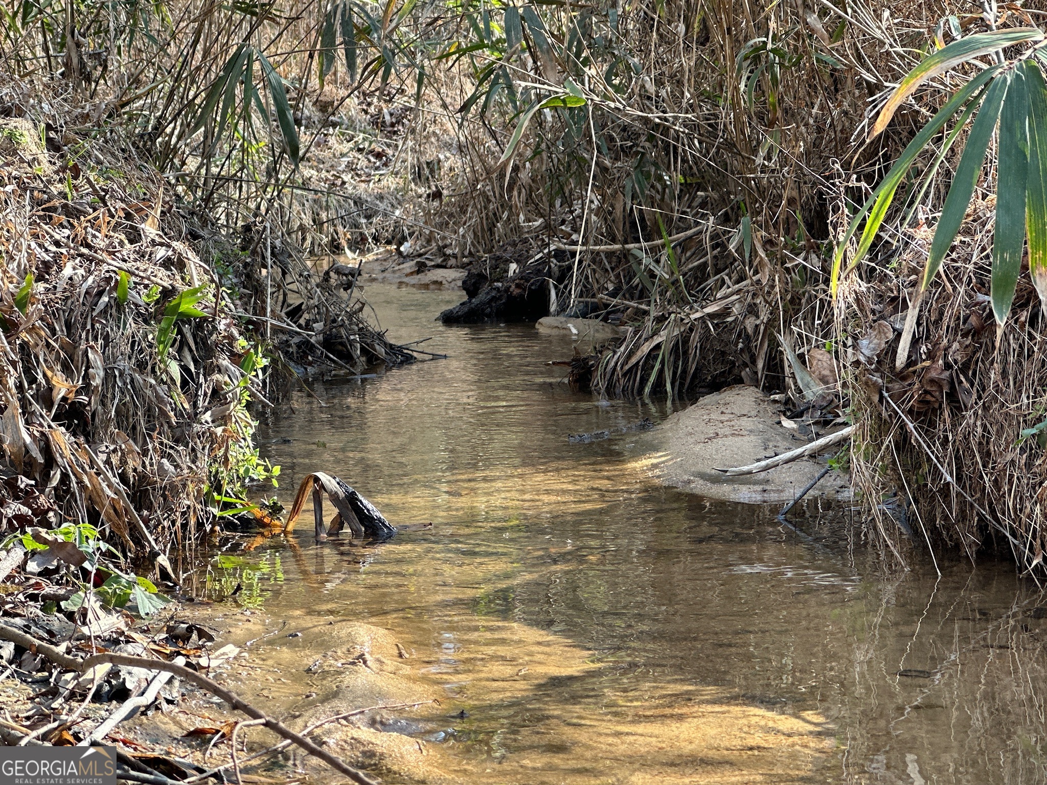 198 Culverton Church Road Sparta, GA 31087 - Photo 15 of 94