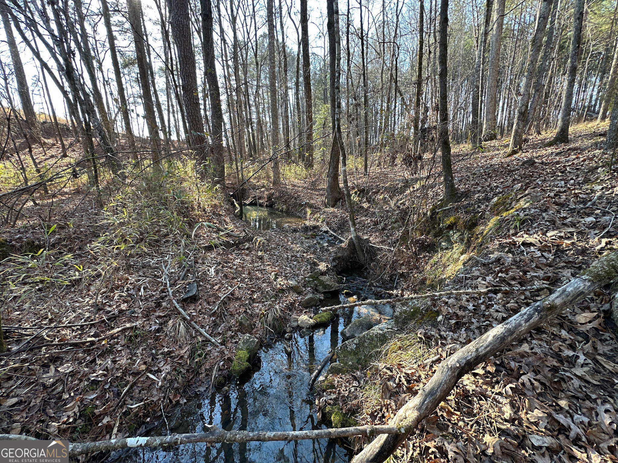 198 Culverton Church Road Sparta, GA 31087 - Photo 16 of 94 a view of a forest with trees
