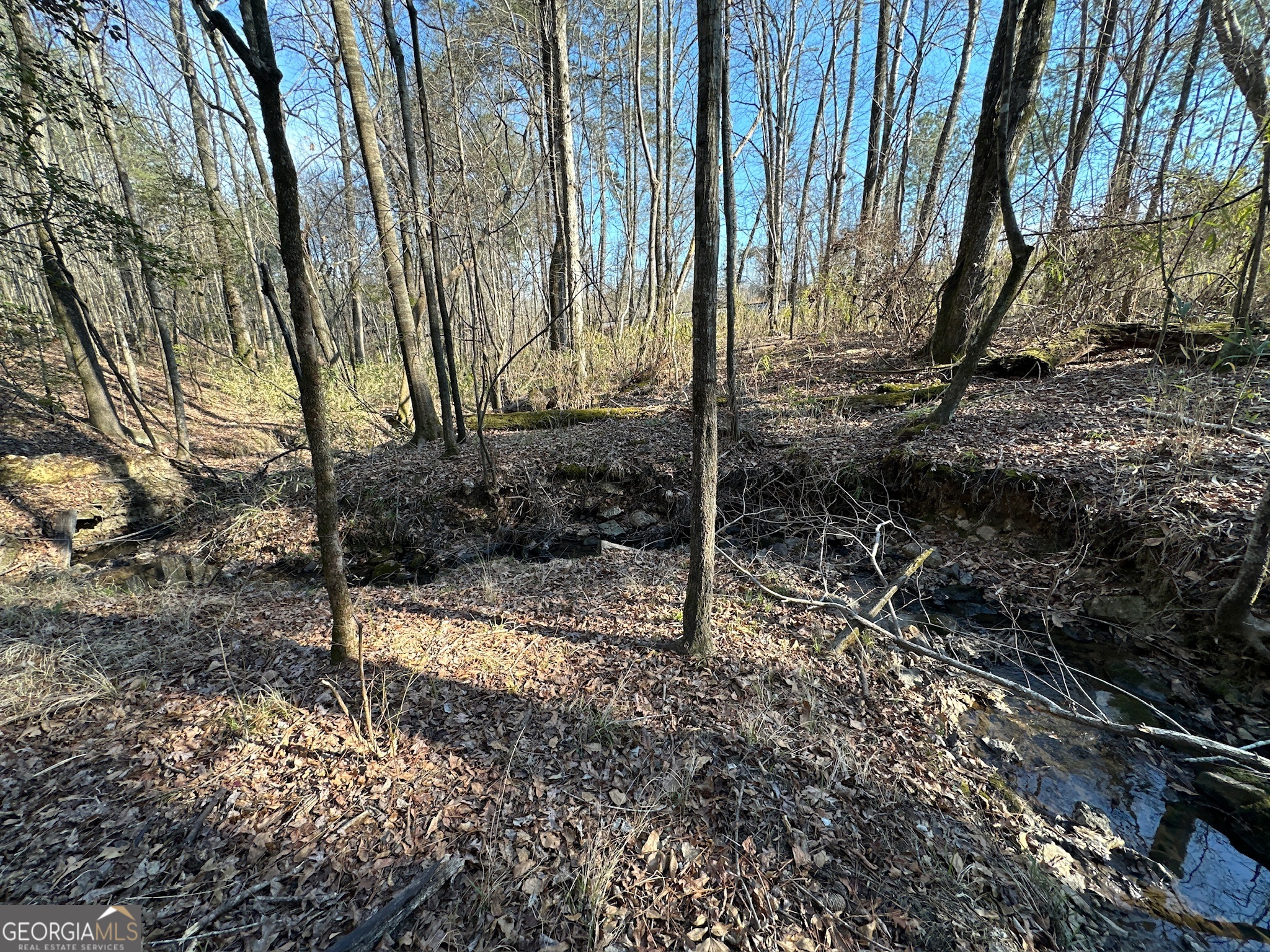 198 Culverton Church Road Sparta, GA 31087 - Photo 17 of 94 a view of a backyard
