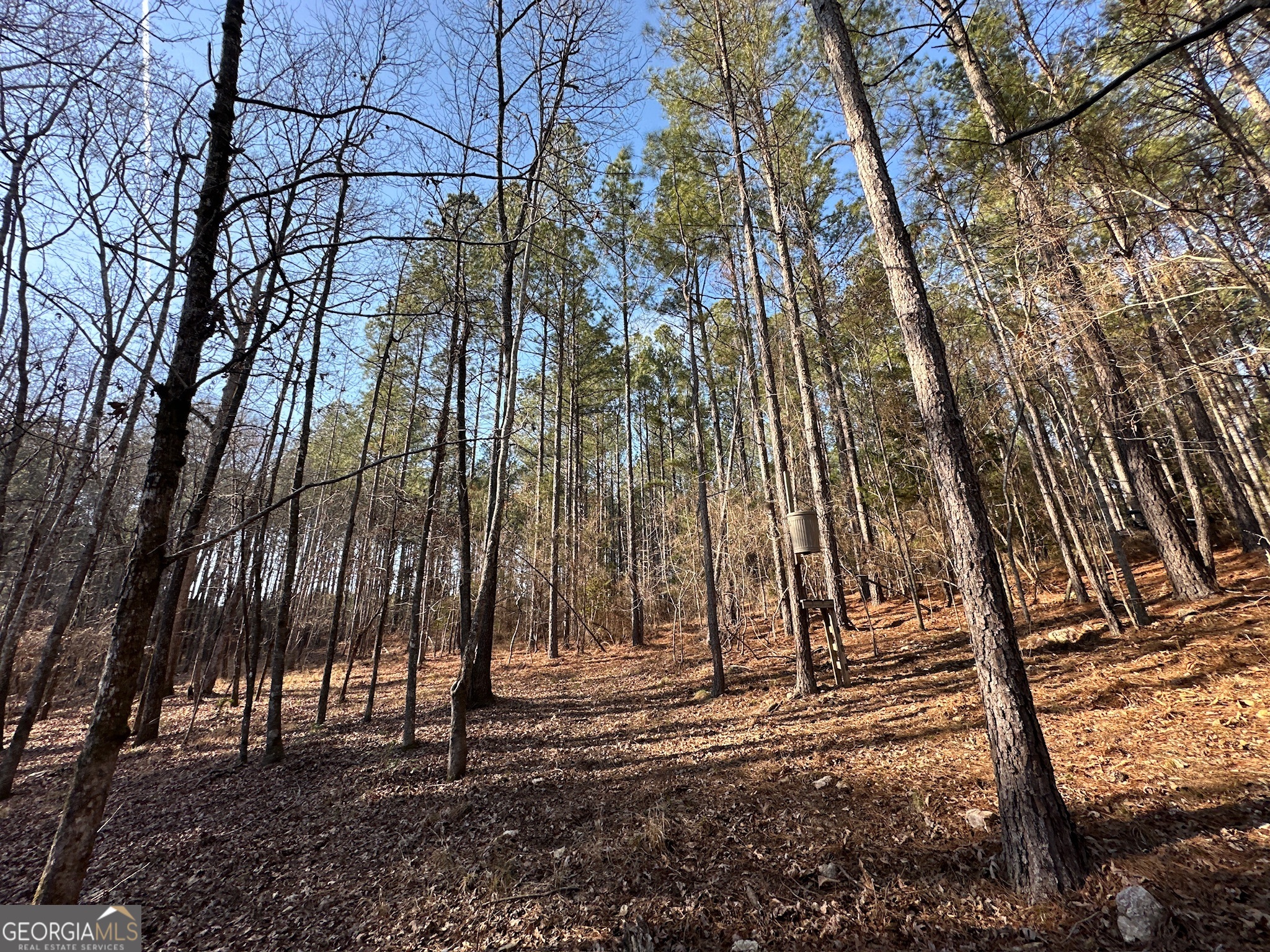 198 Culverton Church Road Sparta, GA 31087 - Photo 18 of 94 a backyard of a house with lots of green space