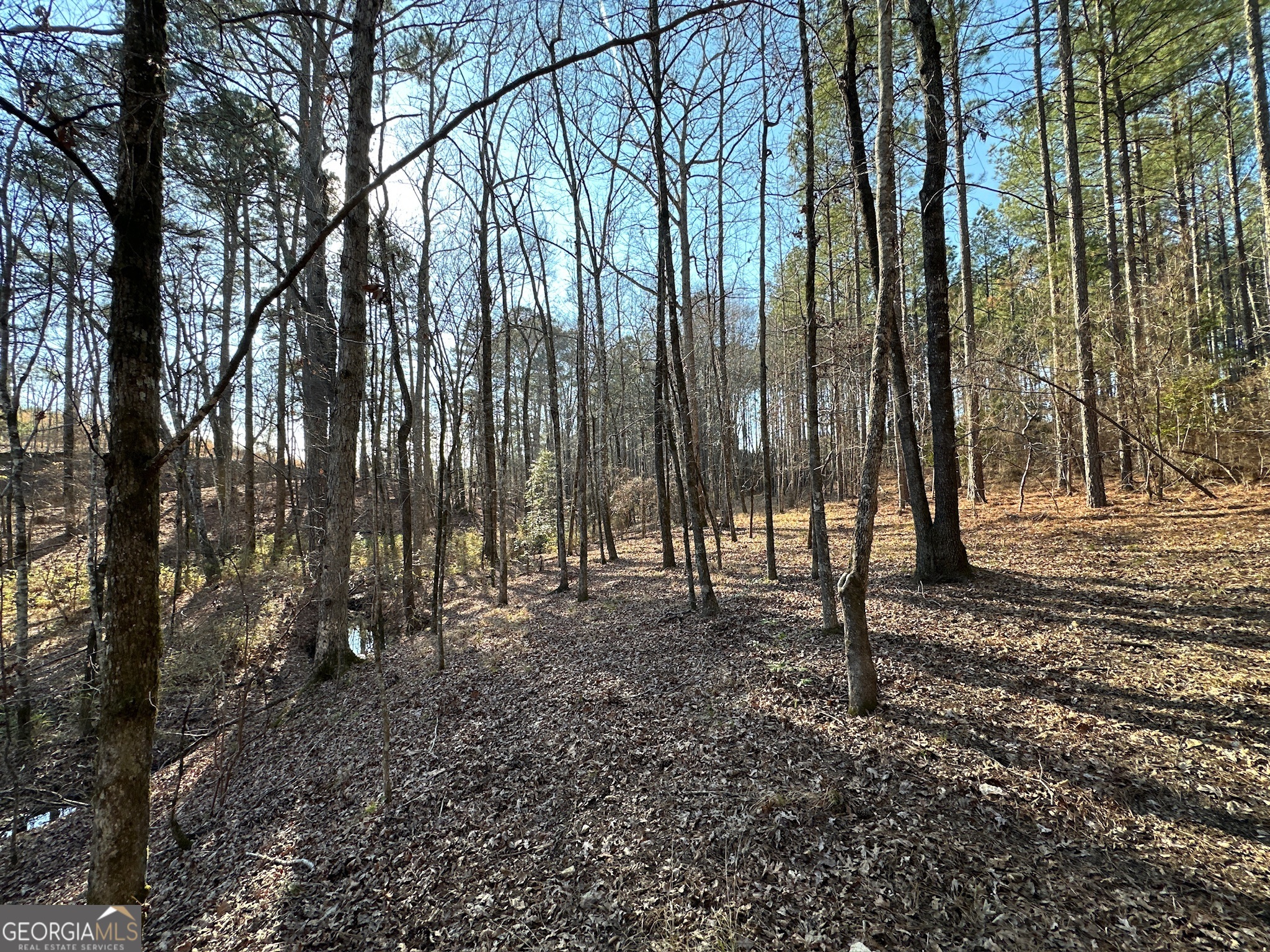 198 Culverton Church Road Sparta, GA 31087 - Photo 19 of 94