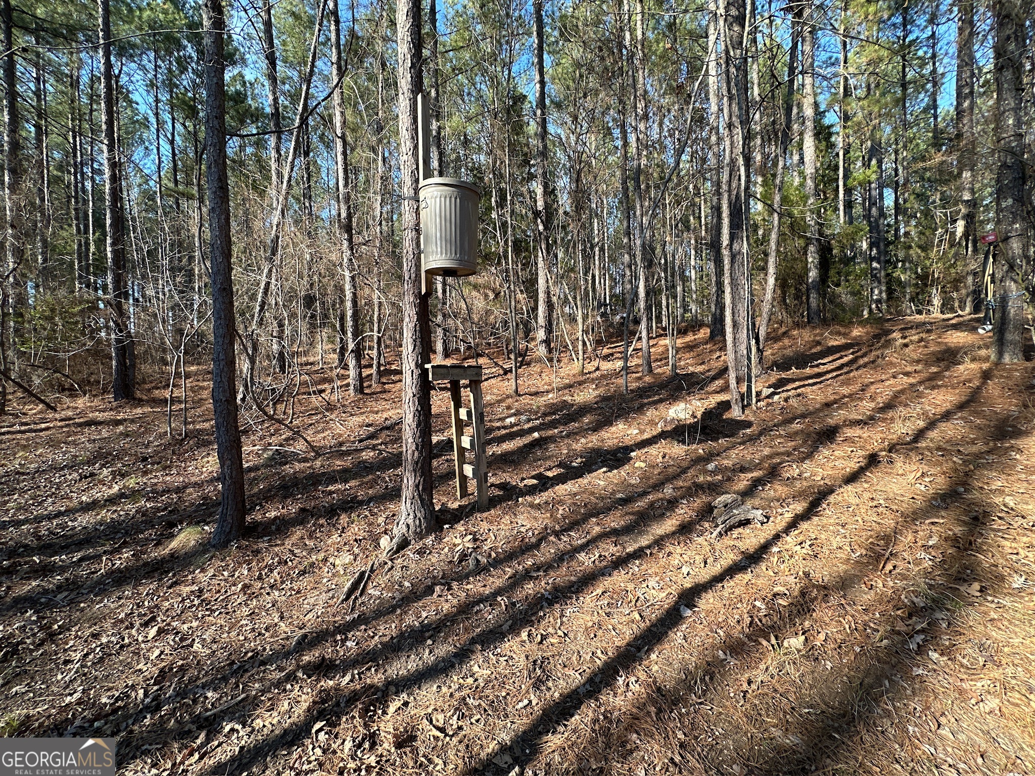 198 Culverton Church Road Sparta, GA 31087 - Photo 20 of 94 a view of a backyard of the house