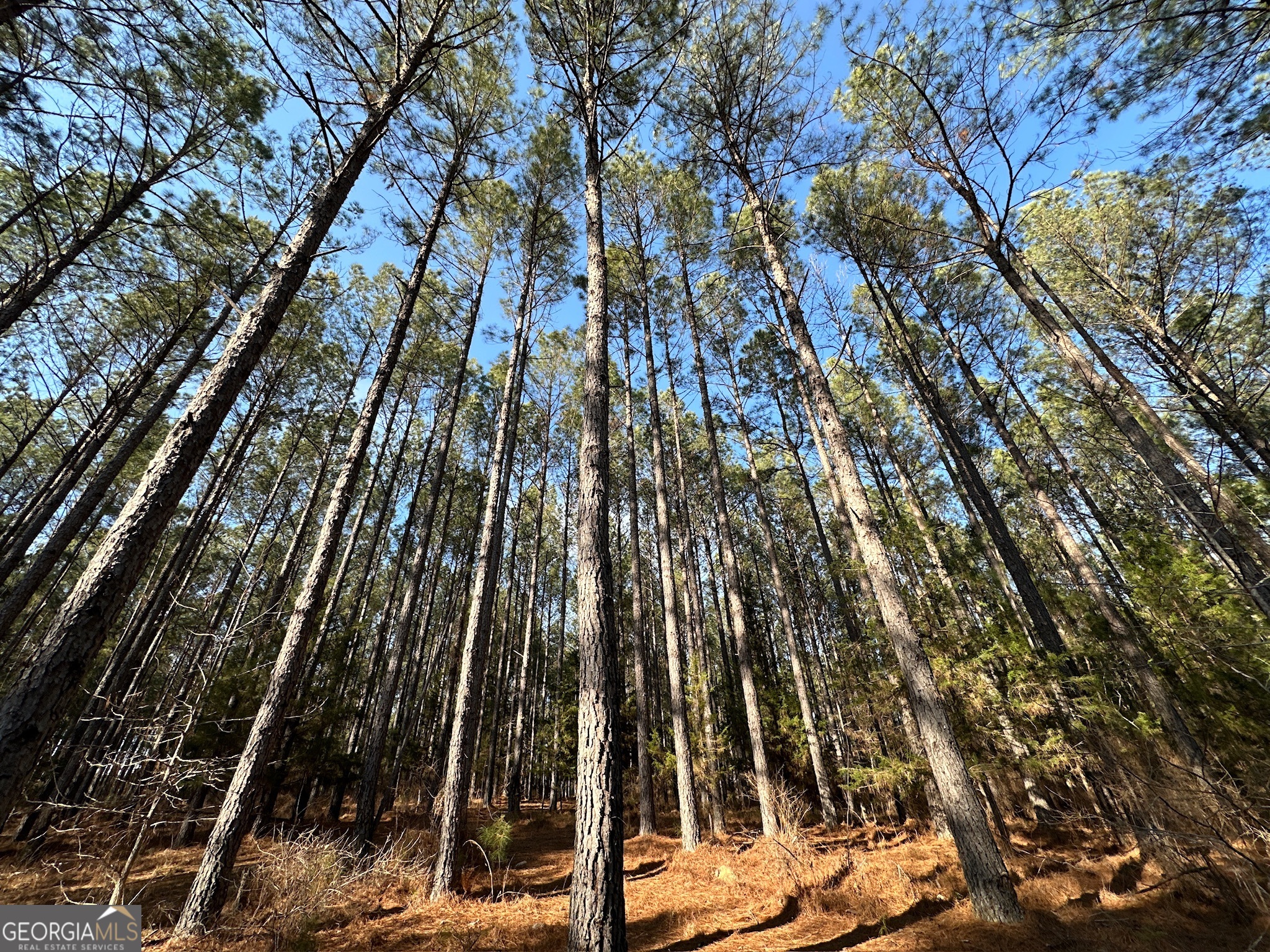 198 Culverton Church Road Sparta, GA 31087 - Photo 22 of 94