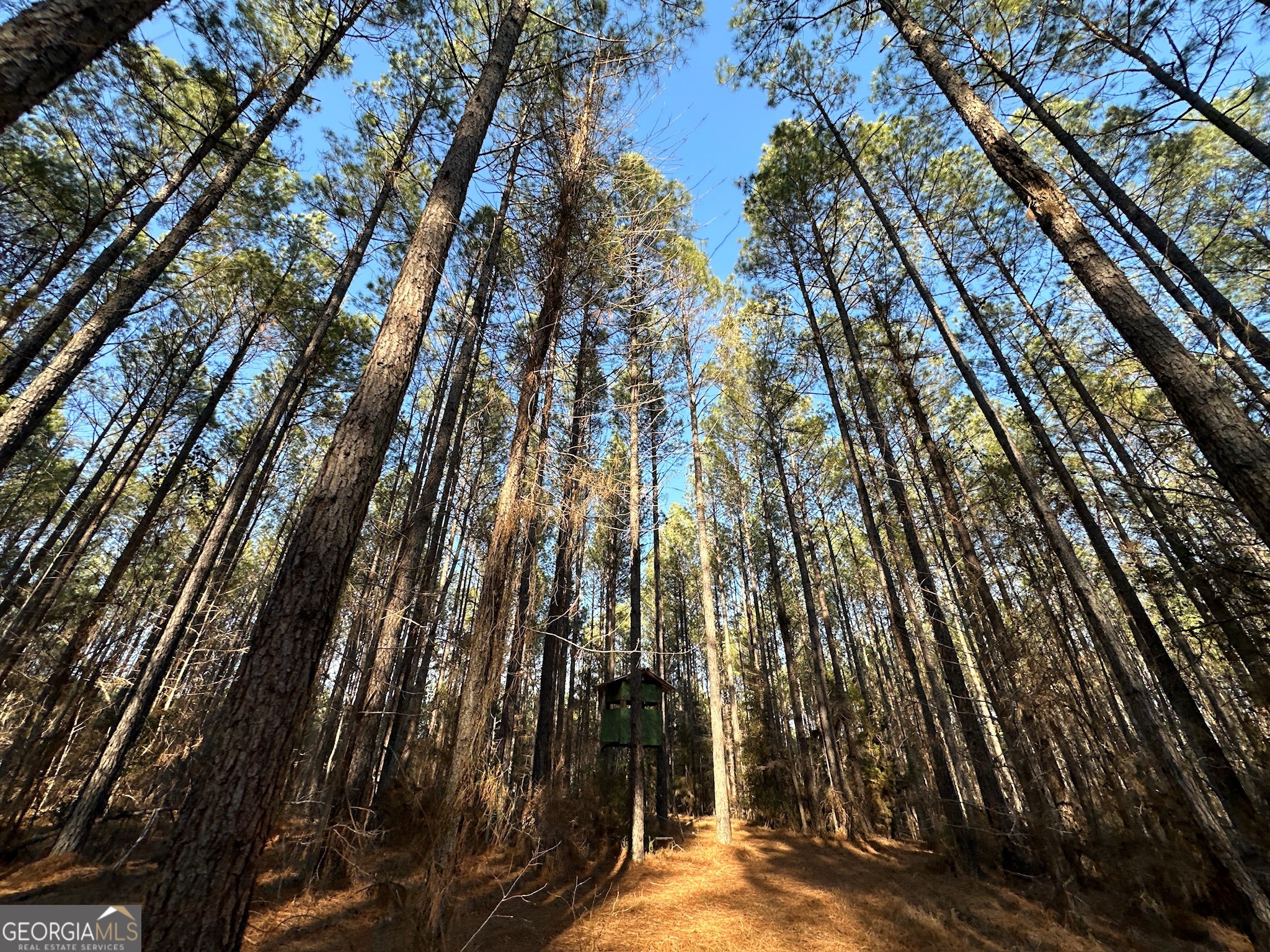 198 Culverton Church Road Sparta, GA 31087 - Photo 23 of 94