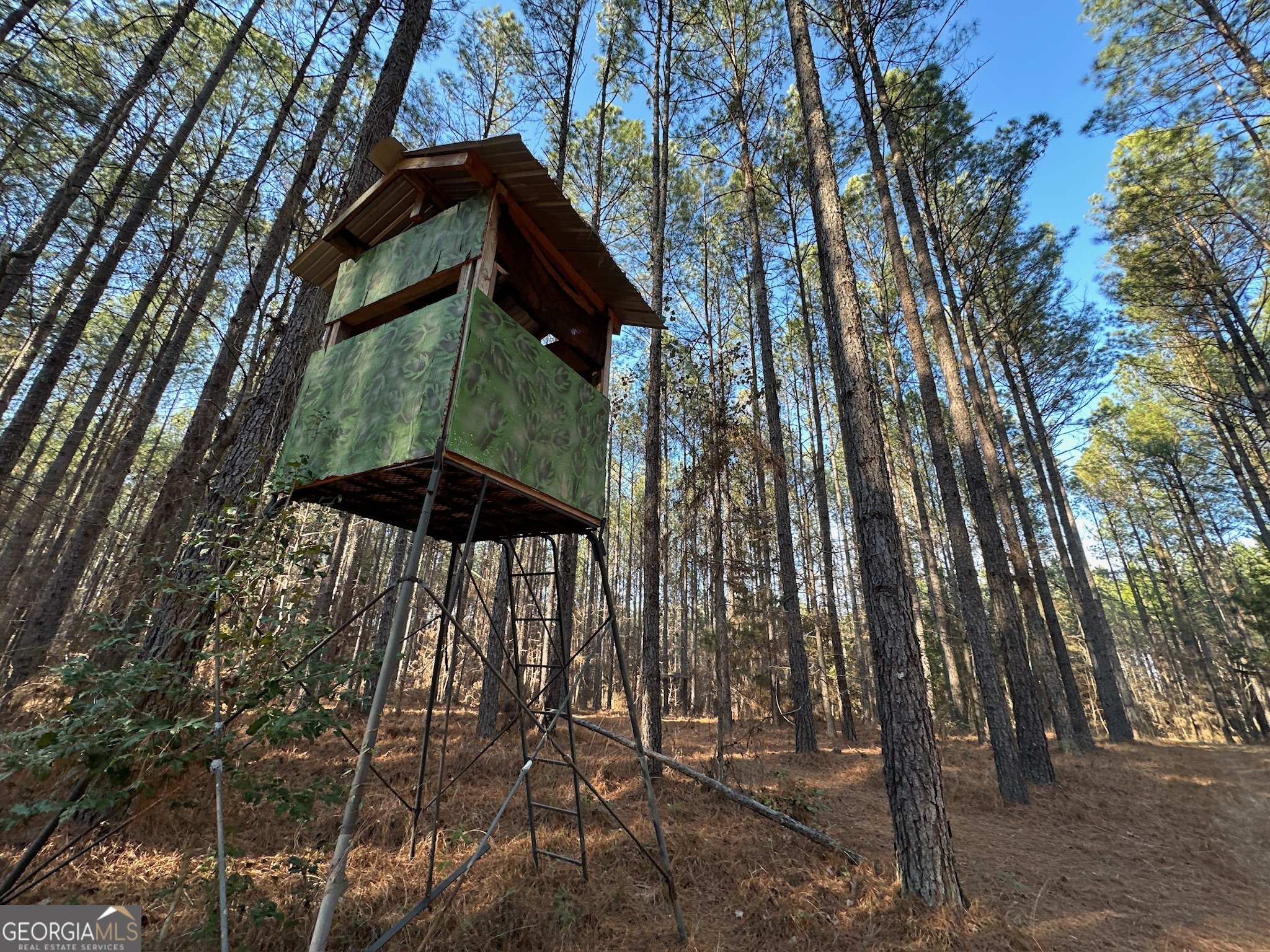 198 Culverton Church Road Sparta, GA 31087 - Photo 24 of 94 a view of a yard
